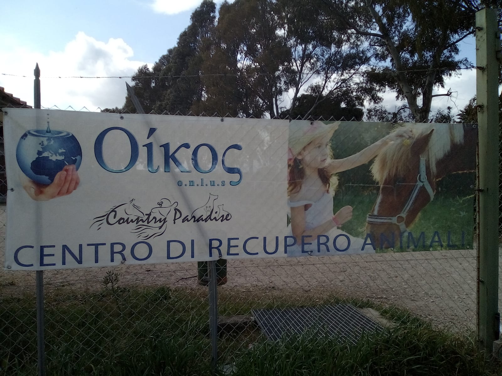 I ragazzi della Chimera volontari per aiutare gli animali dell’associazione Oikos